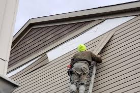 Best Vinyl Siding Installation  in Sawgrass, FL